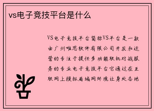 vs电子竞技平台是什么